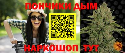 крисы Малоярославец