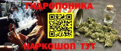 крисы Малоярославец
