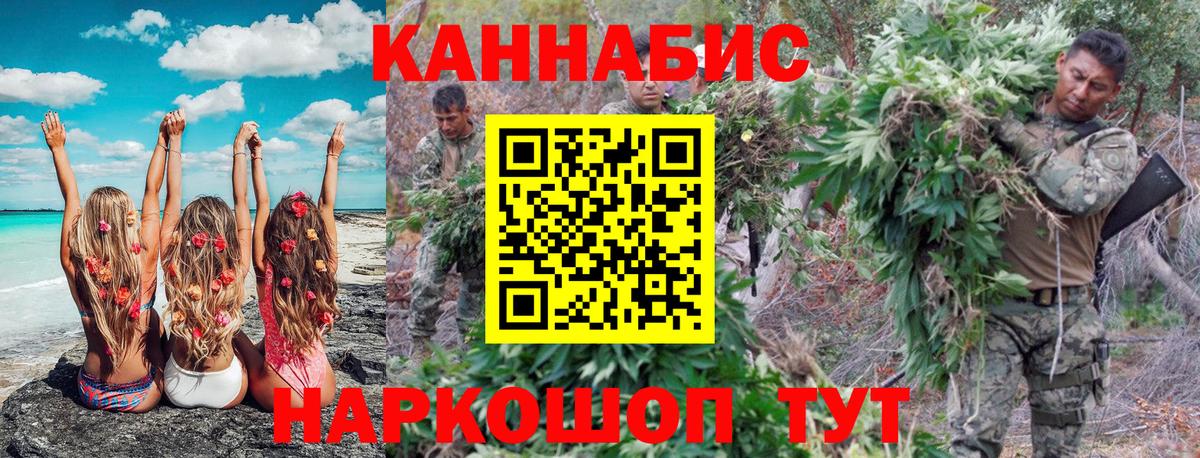 Дубна  Шишки марихуана план  Бошки марихуана Bruce Banner  Шишки марихуана планчик  Шишки марихуана план  Вход с VPN 